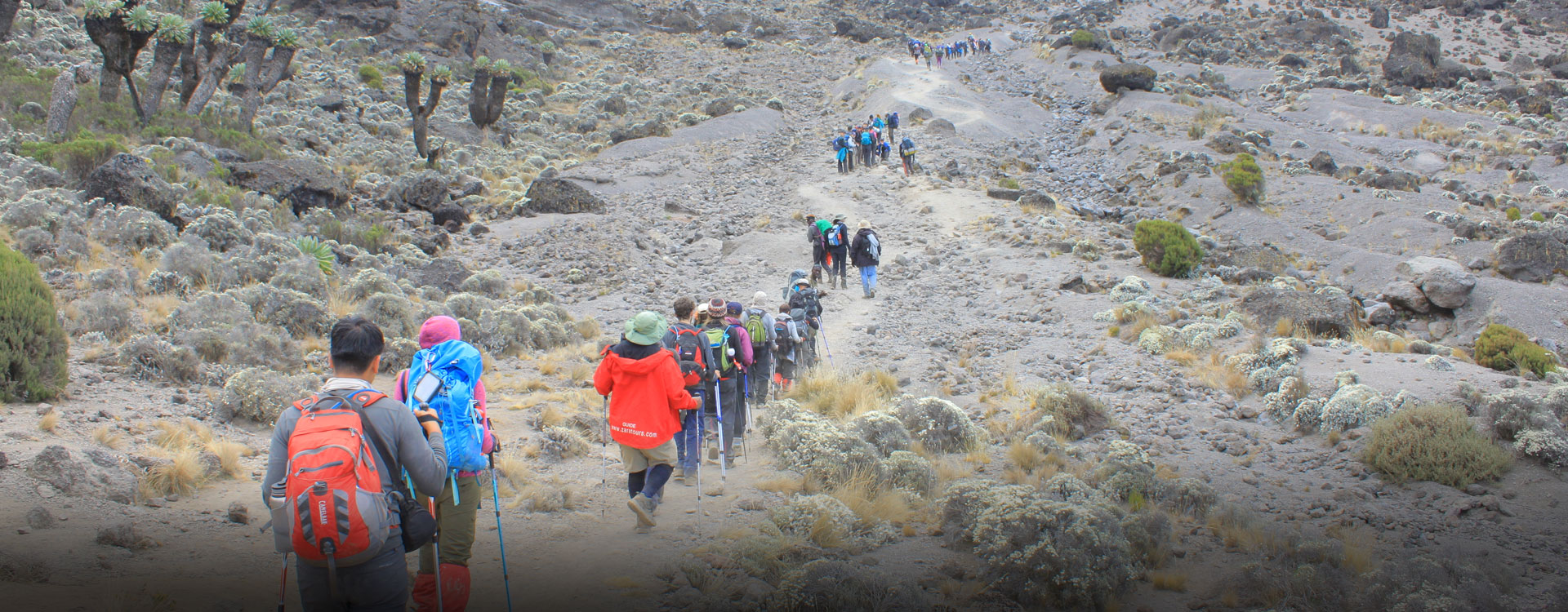 kilimanjaro trek australia